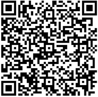 QR Code Pagamento VIP